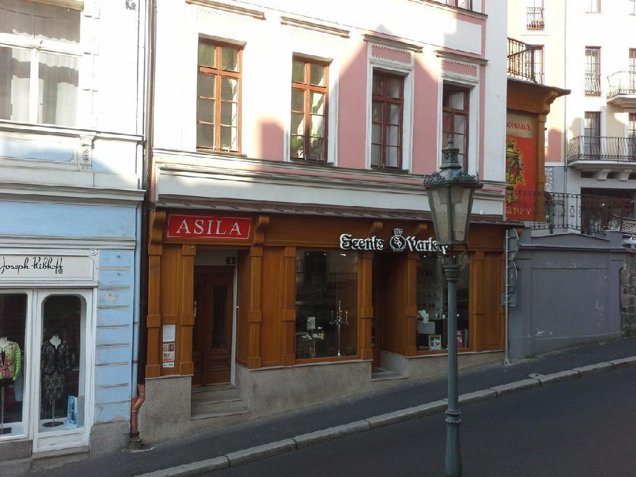 Asila Hotel Karlovy Vary Kültér fotó